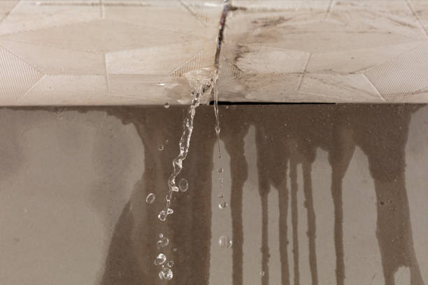 Professional Water Extraction technician working in Long Beach, IN
